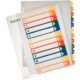 Art.-Nr. 200678<br>LEITZ Farbregister 1294 A4 1-12 aus Kunststoff bunt