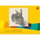 Art.-Nr. 321657<br>DÜRER HASE Buntpapierheft 82 g/m² 12 Blatt farbig sortiert