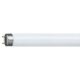 Art.-Nr.339177<br>PHILIPS Leuchtstofflampe Master TL-D Super 80 18 W/830 1SL/25