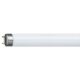 Art.-Nr.339180<br>PHILIPS Leuchtstofflampe Master TL-D Super 80 36 W/840 1SL/25