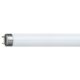 Art.-Nr.339181<br>PHILIPS Leuchtstofflampe Master TL-D Super 80 58 W/830 1SL/25