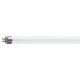 Art.-Nr.339189<br>PHILIPS Leuchtstofflampe Master TL5 HE 21 W/840 SLV/40