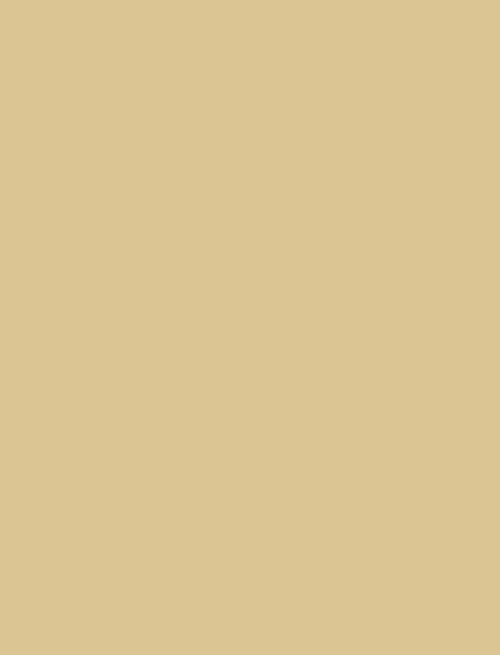 Art.-Nr. 343363<br>FOLIA Tonzeichenpapier 6710 50 x 70 cm 130g/m² chamois