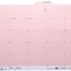 Art.-Nr. 927023<br>MAPPEI Selbstklebereiter 405007 100 Stück 55 mm rosa